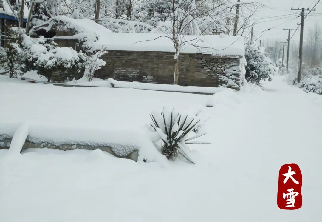 灵山悦读 | 大雪故事会：谁说这个故事老啊？